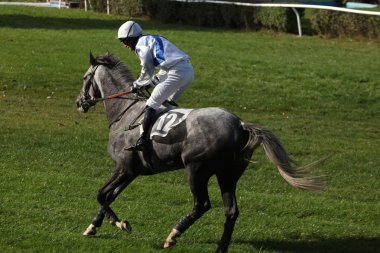 Atlarını jockeys düzlük gel