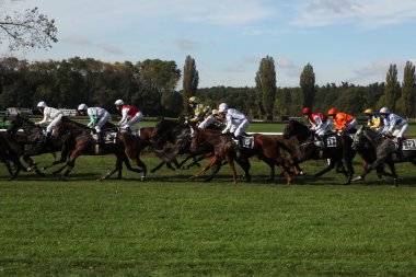 Atlarını jockeys düzlük gel
