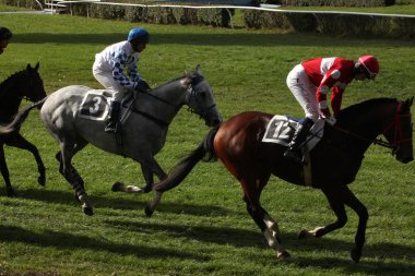 Atlarını jockeys düzlük gel