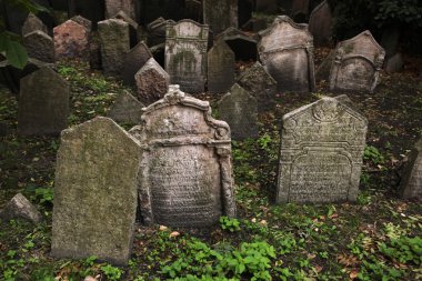 Abandoned tombstones at the Cemetery clipart