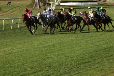 Atlarını jockeys düzlük gel