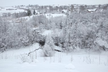Rusya'nın karla kaplı manzara