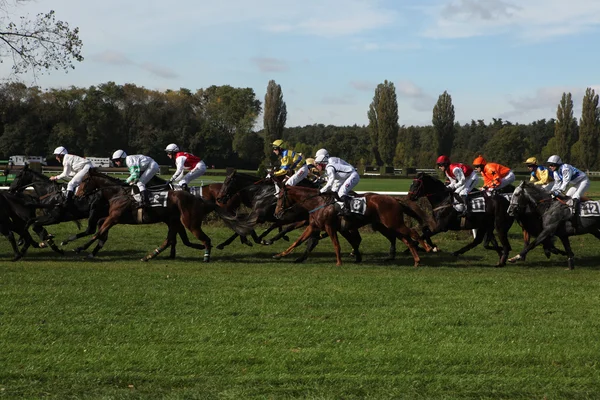 Jockeys with their horses come down the home stretch — Stock Photo, Image