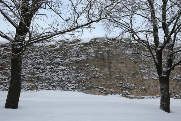 Izborsk фортеця в зимовий період — стокове фото
