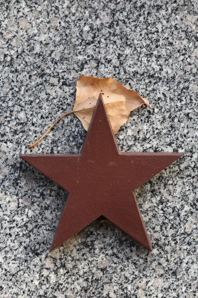 Rudá hvězda a podzimní list břízy — Stock fotografie