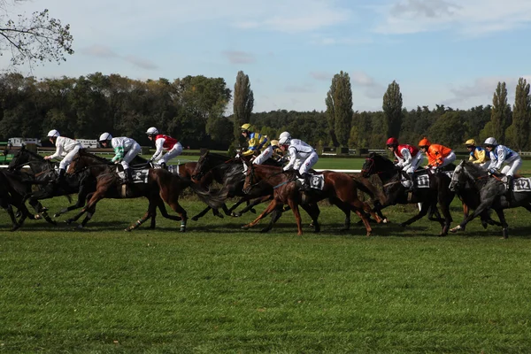 Jockeys met hun paarden komen vaststelling van de rekken home Rechtenvrije Stockfoto's