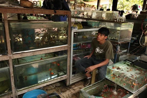 水族館の魚の市場 — ストック写真