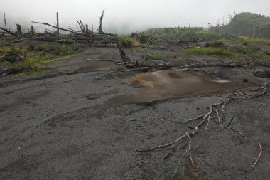 Tropikal orman, Mount Merapi