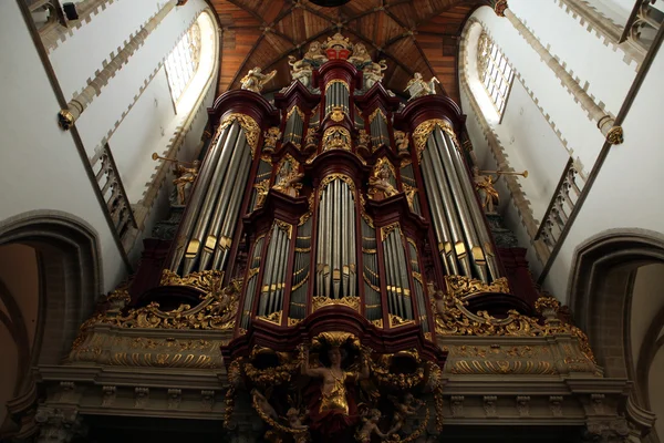 Трубный орган в Гроте Керк — стоковое фото
