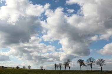 Moritzburg yakınındaki kırsal manzara