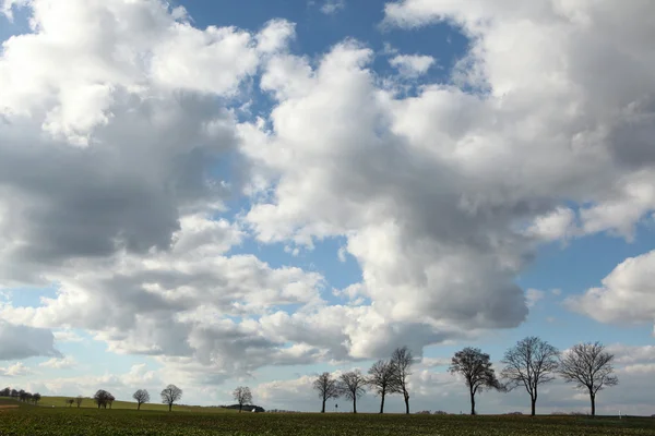 Moritzburg yakınındaki kırsal manzara
