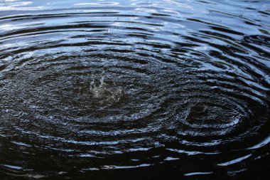 Kapiller dalgalar damlacıkları tarafından üretilen