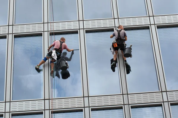 Trabajadores de acceso a cuerdas limpian ventanas — Foto de Stock