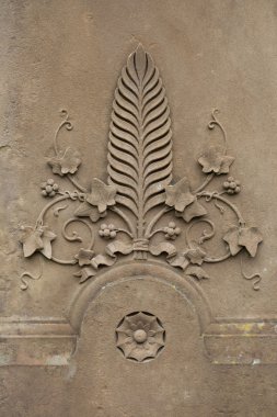 Ivy tarafından çevrili palmiye yaprağı