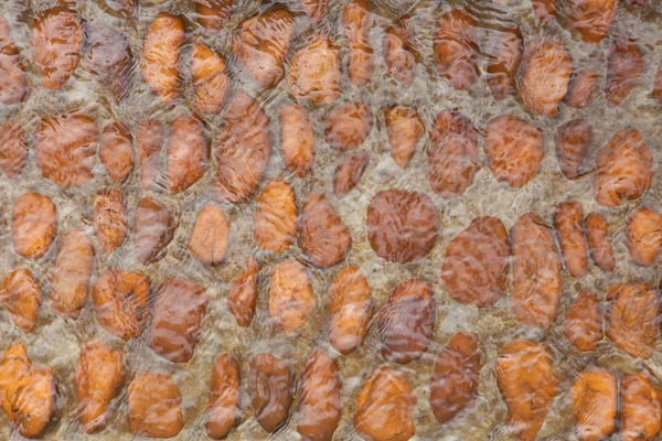 河圆形橙色鹅卵石 — 图库照片