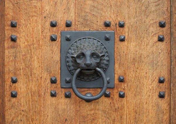 Doorknocker in shape of lion head — Stock Photo, Image