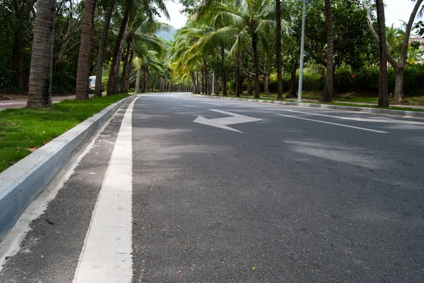 海南省、中国の道路 — ストック写真