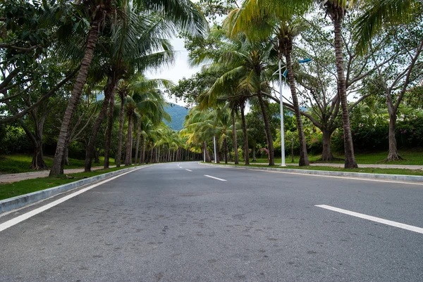 Camino en Hainan, China — Foto de Stock