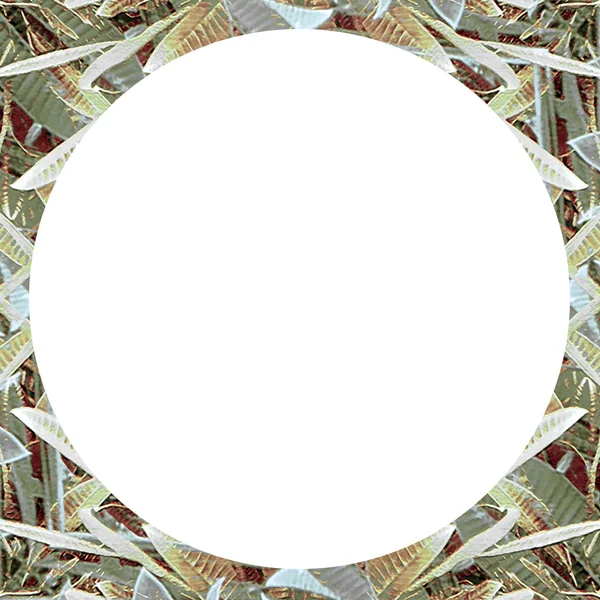 抽象的なコラージュ罫線と白の丸フレーム — ストック写真