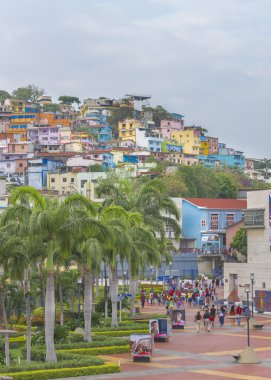 Malecón ve Cerro Santa Ana Guayaquil Ekvador