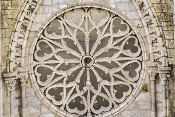 Basilique de Quito San Juan Rosette — Photo