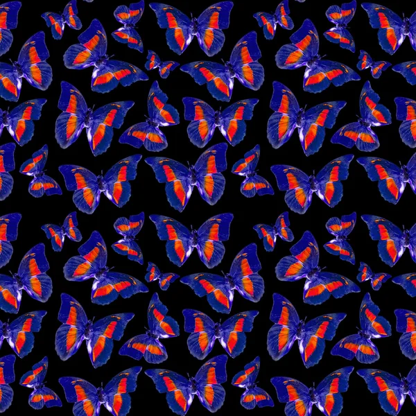 Butterflies Dark Pattern — Stock Photo, Image