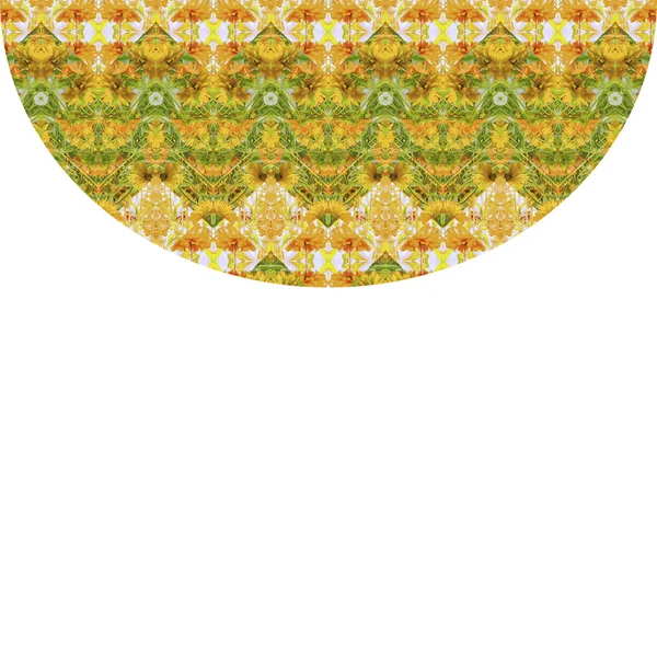 印度风格花卉条纹 — 图库照片