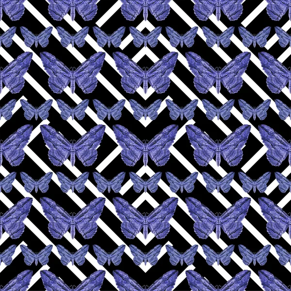幾何学的な蝶のパターン — ストック写真