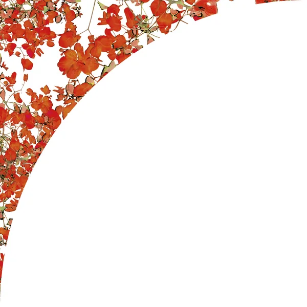 Cornice di sfondo bianco con bordi floreali rotondi — Foto Stock