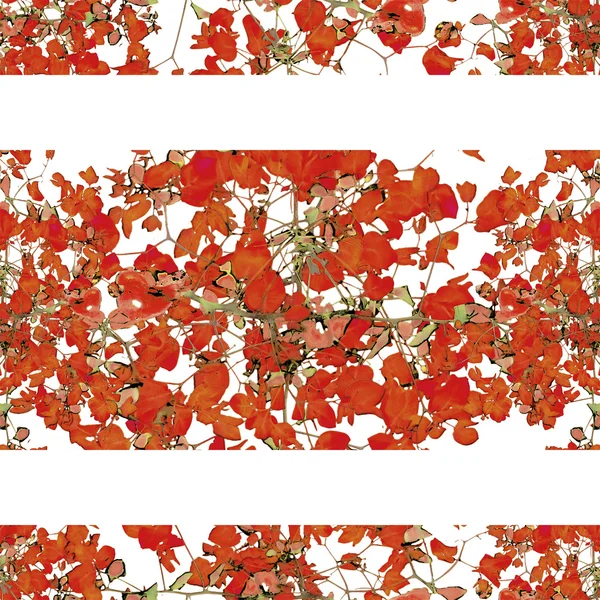 Белый фон Границы цветочных полос — стоковое фото