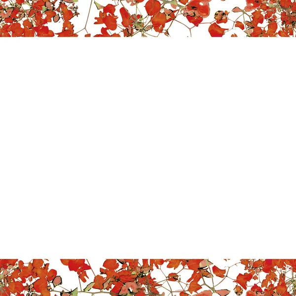 Vit bakgrund ram med blommor kantlinjer — Stockfoto