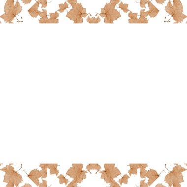 Beyaz arka plan çerçeve ile dekore edilmiş sınırları