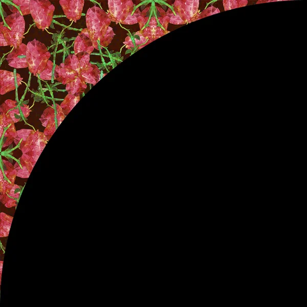 Czarne tło z rundy kwiatowy kolaż granic — Zdjęcie stockowe