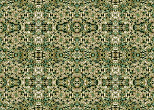 Stylized floreale Ornate Boho Pattern — Foto Stock
