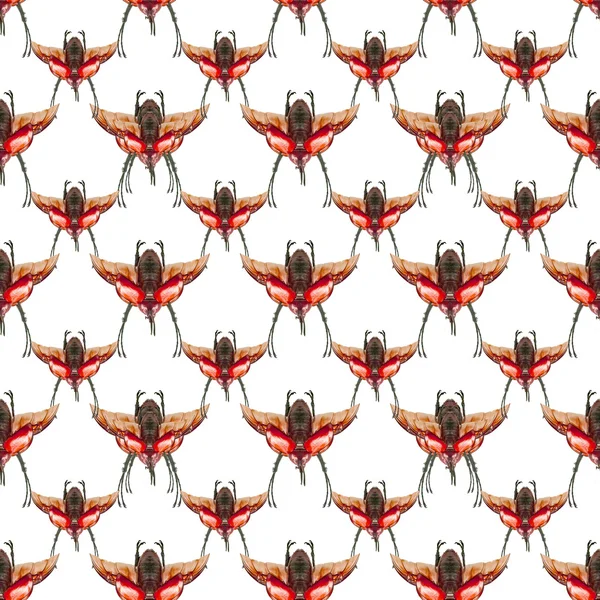 Böcek Dikişsiz Desen Tasarımı