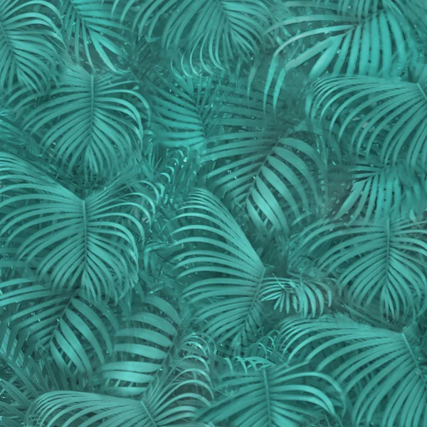 Tropical Pattern Background — Stock Photo, Image