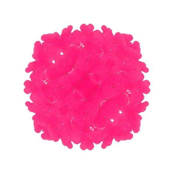 Ornament floral roz — Fotografie, imagine de stoc