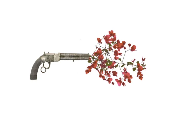 Gun Shooting Up Fleurs — Photo