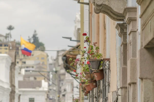 Архітектура в історичному центрі Quito — стокове фото