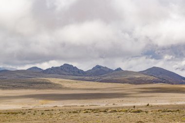 Chimborazo Milli Parkı Ekvador