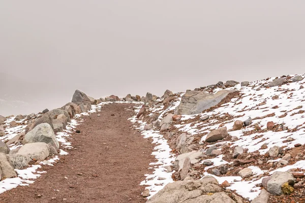 Chimborazo Park Ecuador — Stock Photo, Image