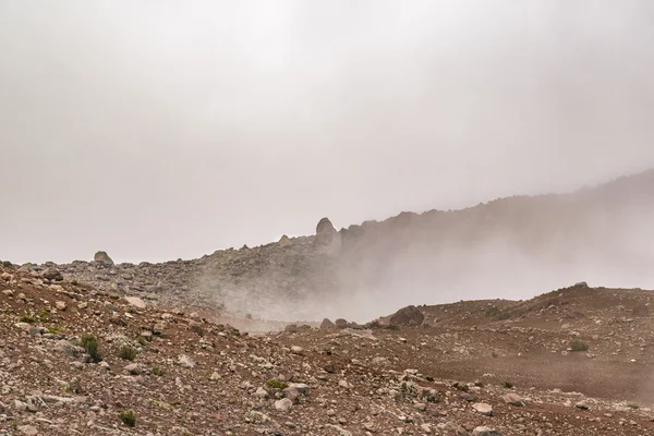 Chimborazo Park, Ecuador — Stock Fotó