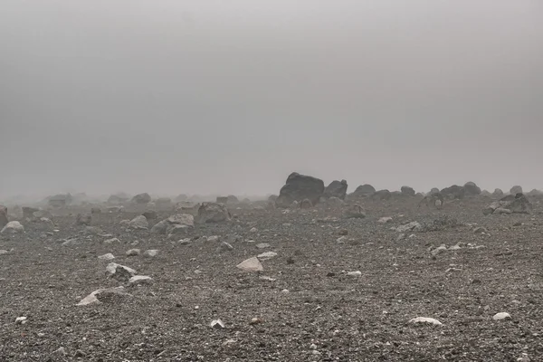 Ekvádoru Chimborazo Park — Stock fotografie