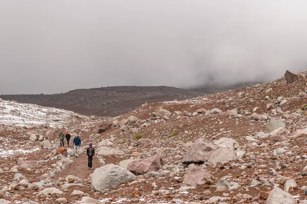 Ekvádoru Chimborazo Park — Stock fotografie