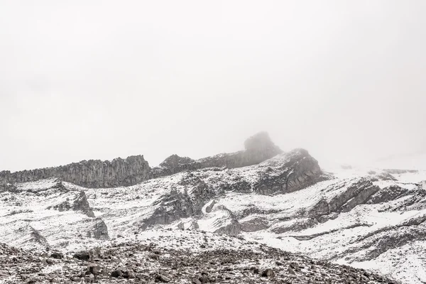 Ekvádoru Chimborazo Park — Stock fotografie