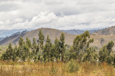 Yol yalak dağlar sahne Ekvador