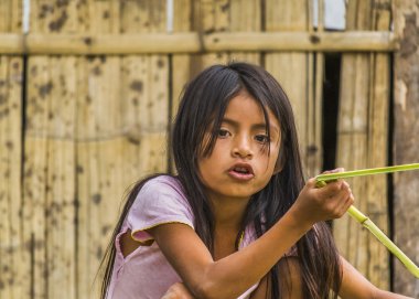Ecuadorian Amazonic Indigenous Girl  clipart