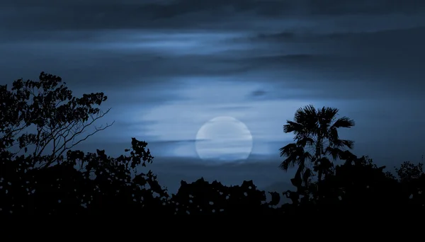 Moonscape Silhouette Ilustrazione — Foto Stock