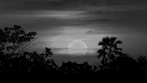 Paysage lunaire Silhouette Ilustration — Photo