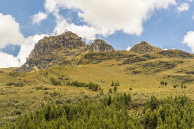 Cajas Milli Parkı Cuenca Ekvador